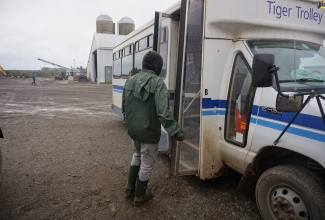 St. Catherine resident, *Mark Grant, boards a bus to return to work on an apple farm in Ontario, Canada, after speaking with JIS News. The farm where he works was visited on October 14 by a team of Jamaican fact-finders who are assessing Canada’s seasonal agricultural workers programme.