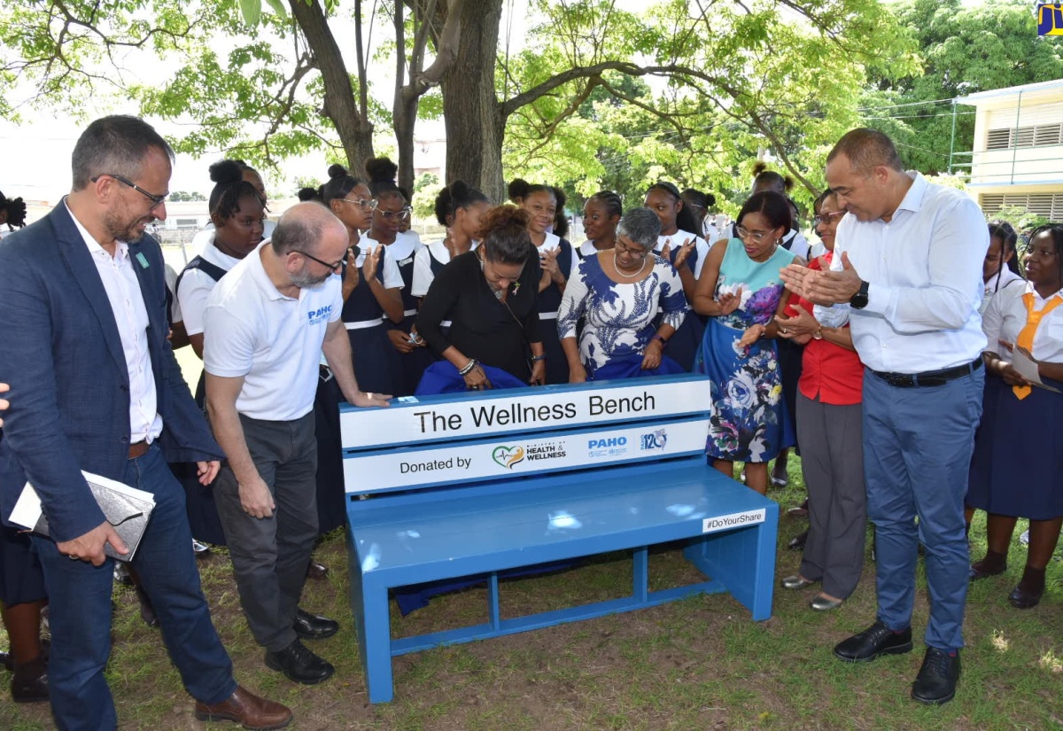 Campaign to Promote Expansion of Safe Spaces to Support Mental Health  Unveiled – Jamaica Information Service