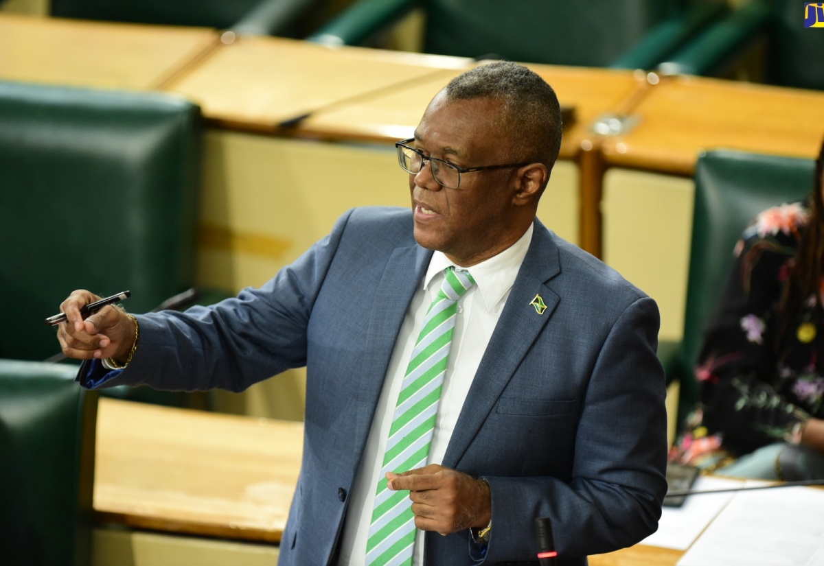 Government Senator Calls for Revision of Public Order Legislation