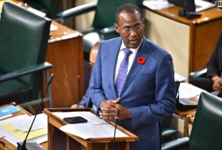 Minister of Finance and the Public Service, Dr. the Hon. Nigel Clarke, speaking in the House of Representatives on Tuesday (November 8).