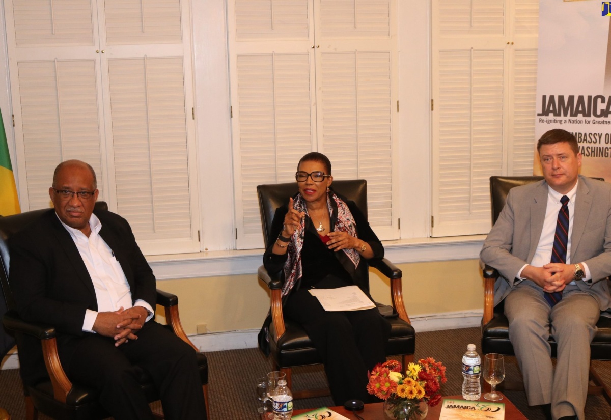 PHOTOS: Ambassador Marks Hosts PICA at Diaspora Forum