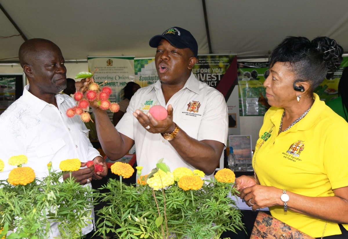 JAS Stages Successful ‘Eat Jamaican Day’ Expo