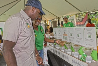 Minister of Agriculture and Fisheries, Hon. Pearnel Charles Jr. (left), is shown a display on smart livestock feeding solutions by Senior Livestock Research Officer, Britally Ricketts, during the Eat Jamaican Day Expo at Devon House in Kingston, on November 25.