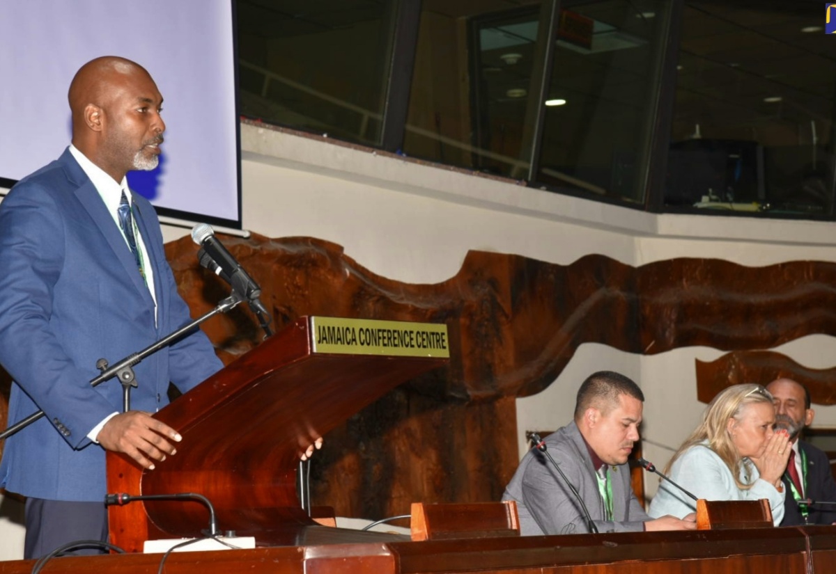 Head of Forestry Dept. Highlights Economic Opportunities in Sector