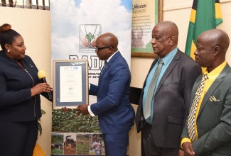 Minister of Agriculture and Fisheries, Hon. Pearnel Charles Jr. (second left) receives the Rural Agricultural Development Authority’s (RADA)  ISO 9001:2015 certificate during a hand over ceremony at RADA’s head office in Kingston on December 13. Making the presentation is Manager, National Certification Body of Jamaica (NCBJ), Navenia Ford (left). Sharing the moment are State Minister in the Ministry of Agriculture and Fisheries, Hon. Franklin Witter (second right) and RADA’s Acting Chief Executive Officer (CEO), Winston Simpson. 
 
