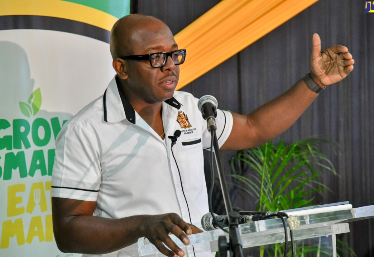 Minister of Agriculture and Fisheries, Hon. Pearnel Charles Jr., provides a sector update during a recent media briefing at the Ministry in Kingston.