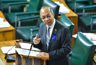 Deputy Prime Minister and Minister of National Security, Hon. Dr. Horace Chang, speaking in the House of Representatives on Tuesday (January 31).
