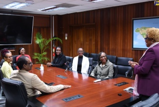 Permanent Secretary (Acting) in the Ministry of Education and Youth (MOEY), Maureen Dwyer (standing) greets the finalists of the LASCO/MOEY Principal and Teacher of the Year Award, as well as Senior Executives of the LASCO Group, during a courtesy call held at the Ministry in Kingston on Wednesday, February 1. 