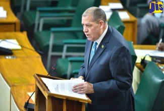 Minister of Transport and Mining, Hon. Audley Shaw, delivering a statement in the House of Representatives recently.