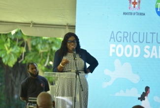 Director, Tourism Linkages Network, Carolyn McDonald Riley, addresses stakeholders attending a recent sensitisation session on the Agricultural Food Safety Manual. The session was held in St. Ann and included participants from St. Mary and Portland.