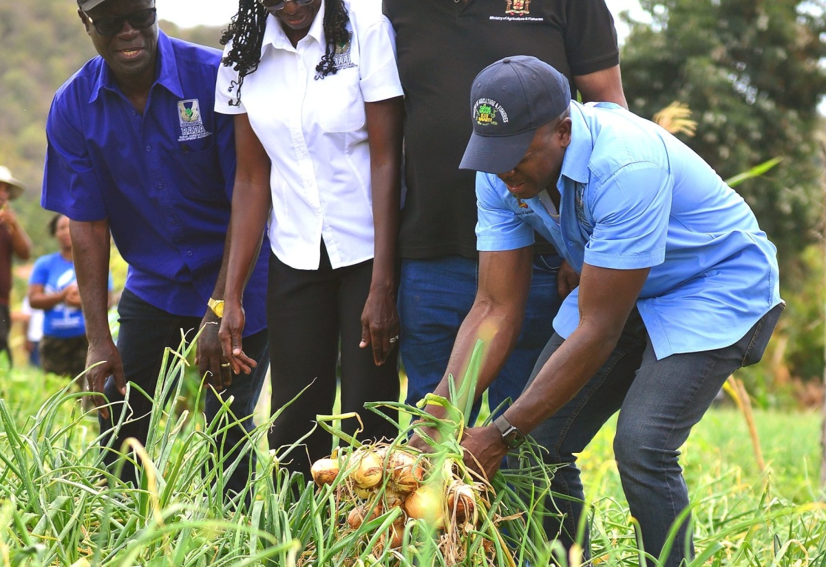 Agriculture Ministry Invites Investment in Drone Technology