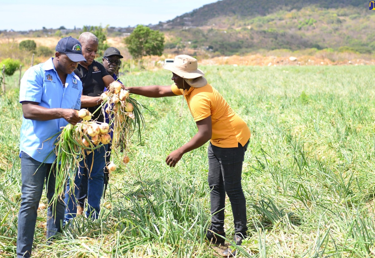 Agriculture Ministry Invites Investment in Drone Technology