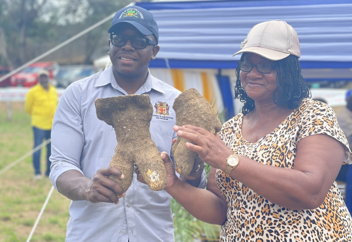 Record Domestic Crop Production for Trelawny