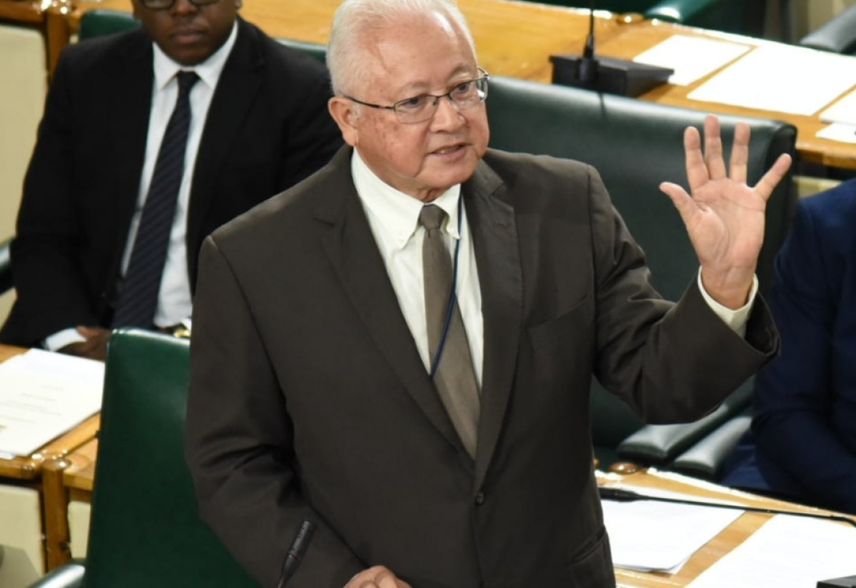 Minister of Justice, Hon. Delroy Chuck, addressing the House of Representatives on March 28.