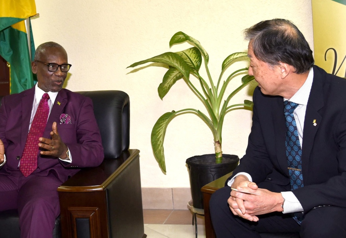 PHOTOS: Japanese Ambassador calls on Minister McKenzie