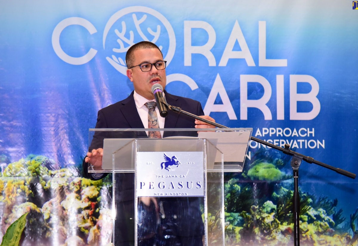Jamaica to Benefit from Six-Year Project to Protect Coral Reefs