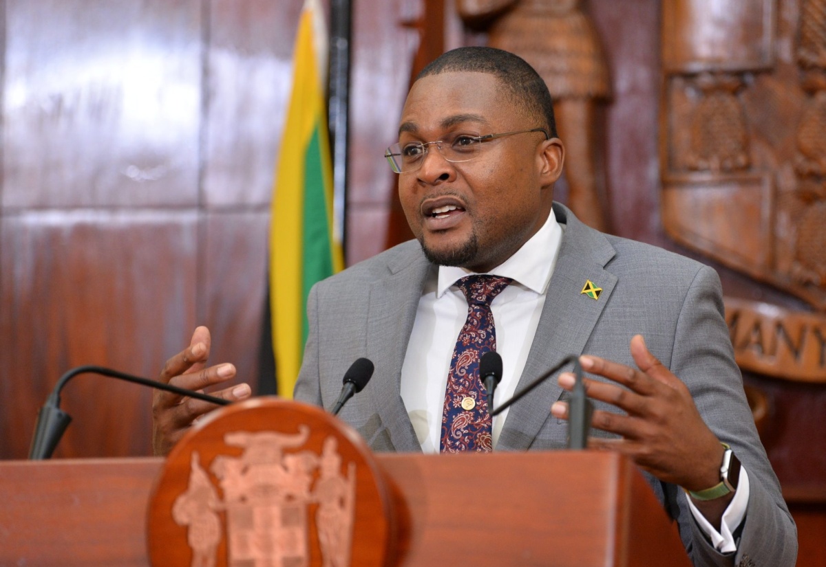 Constitutional Reform is A Public Process – Minister Morgan