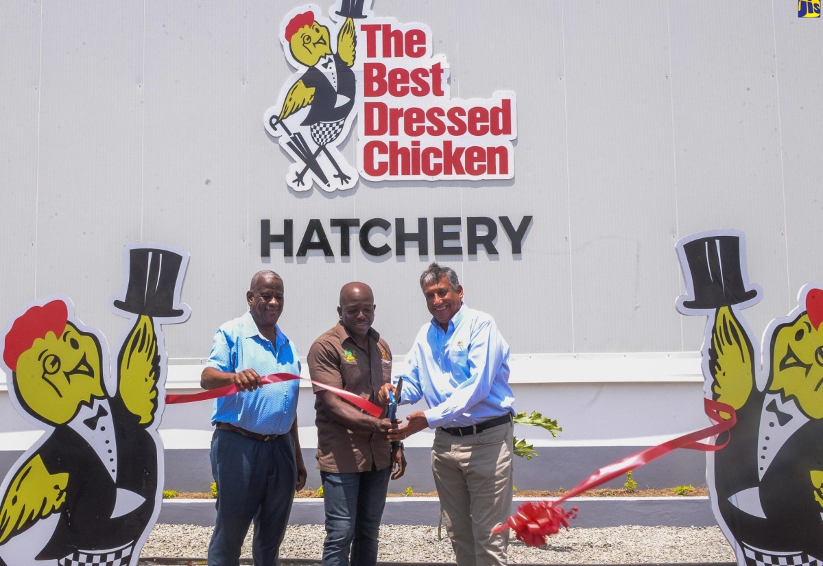 Best Dressed Chicken’s $200-Million Hatchery Upgrade A Boost for Poultry Sector