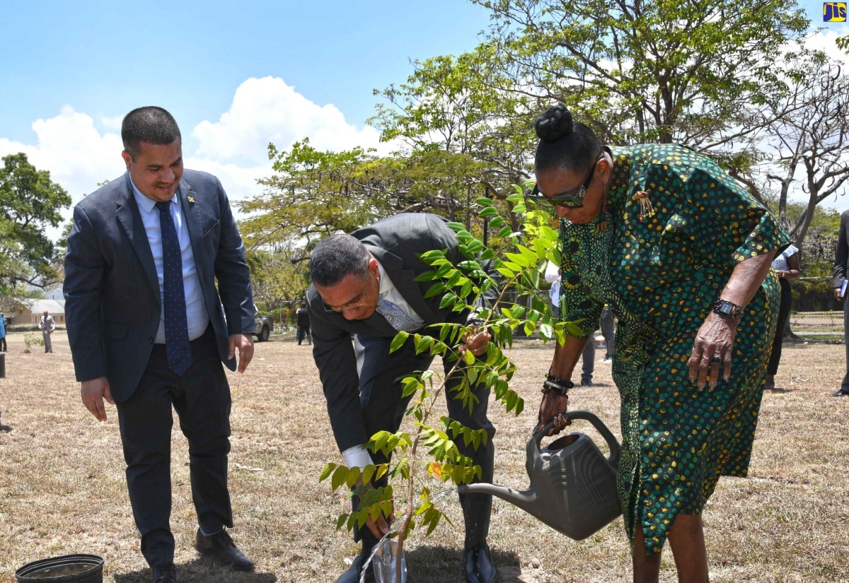 Jamaicans Encouraged to Plant Trees on Labour Day