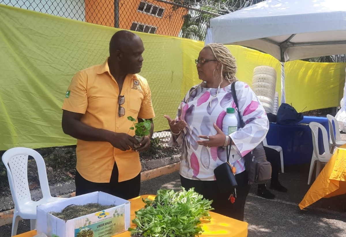 Backyard Gardeners Encouraged to Use Compost to Boost Plant Health