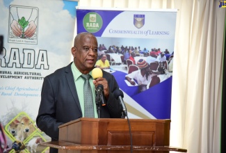 Minister of State in the Ministry of Agriculture, Fisheries and Mining, Hon. Franklin Witter, delivers the main address at today’s (June 20) agriculture stakeholders’ forum at the Medallion Hall Hotel in Kingston.