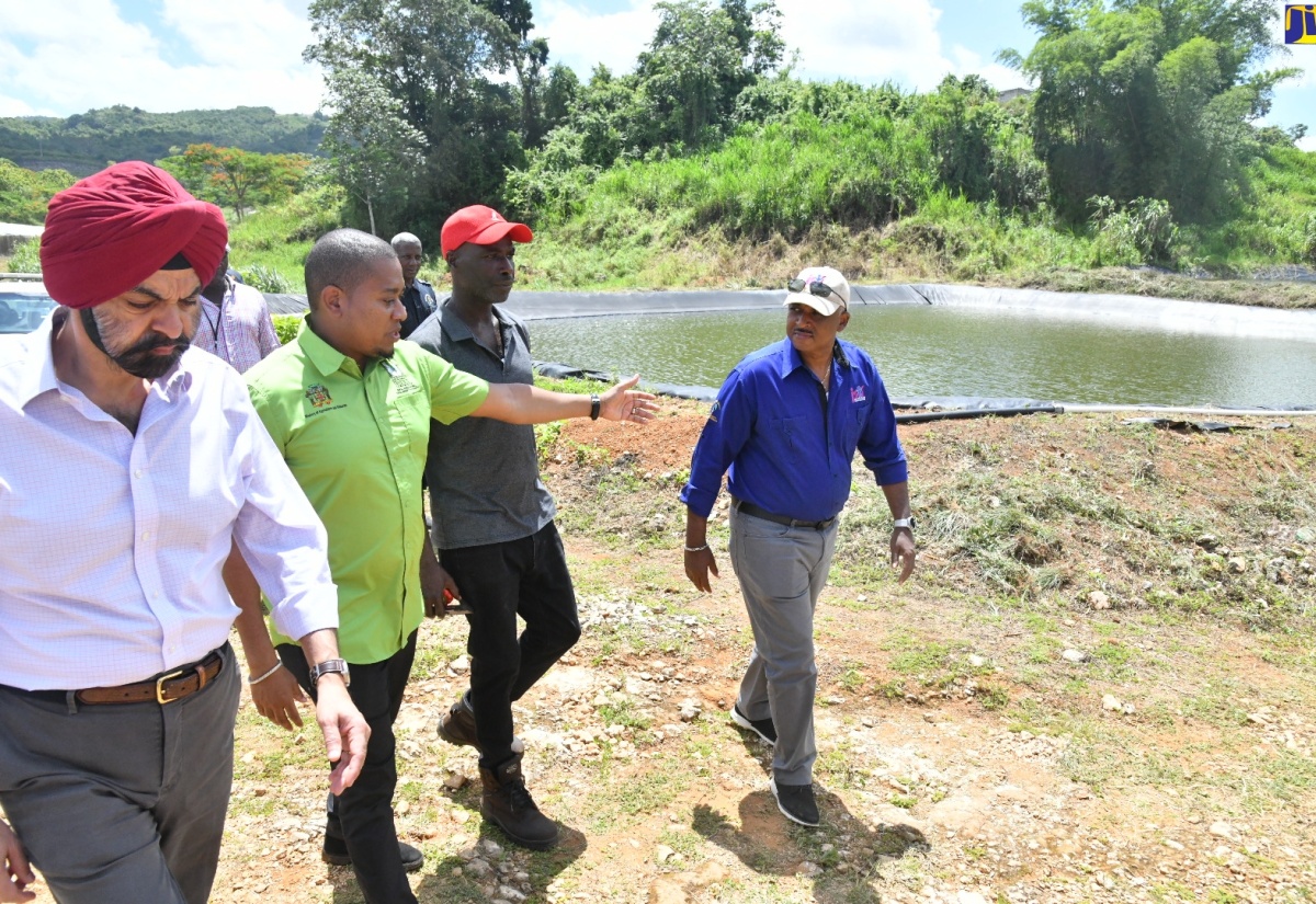 Minister of Agriculture, Fisheries and Mining, Hon. Floyd Green (second left), leads a tour of the Content Greenhouse Cluster Project in Williamsfield, Manchester, on Wednesday (June 14), by President of the World Bank, Ajay Banga (left). Also on the tour were Greenhouse farmer Earl Williams (second right) and Managing Director of the Jamaica Social Investment Fund (JSIF), Omar Sweeney.