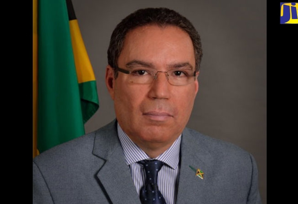 Minister of Science, Energy, Telecommunications and Transport (MSETT) Honourable Daryl Vaz.