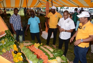 Minister of Agriculture, Fisheries and Mining, Hon. Floyd Green (second right), observes a fruit and vegetable display at the Rural Agricultural Development Authority (RADA) St. Elizabeth Open Day Agrifest at the Social Development Commission (SDC) complex in Santa Cruz, on June 9. Also looking on are (from left) Director of Minerals, Land and Environmental Management in the Ministry, Dorlan Burrell; RADA Acting Chief Executive Officer, Winston Simpson; RADA St. Elizabeth Deputy Parish Manager, Jermaine Wilson; and RADA St. Elizabeth Parish Agricultural Manager (acting), Mark Lee.