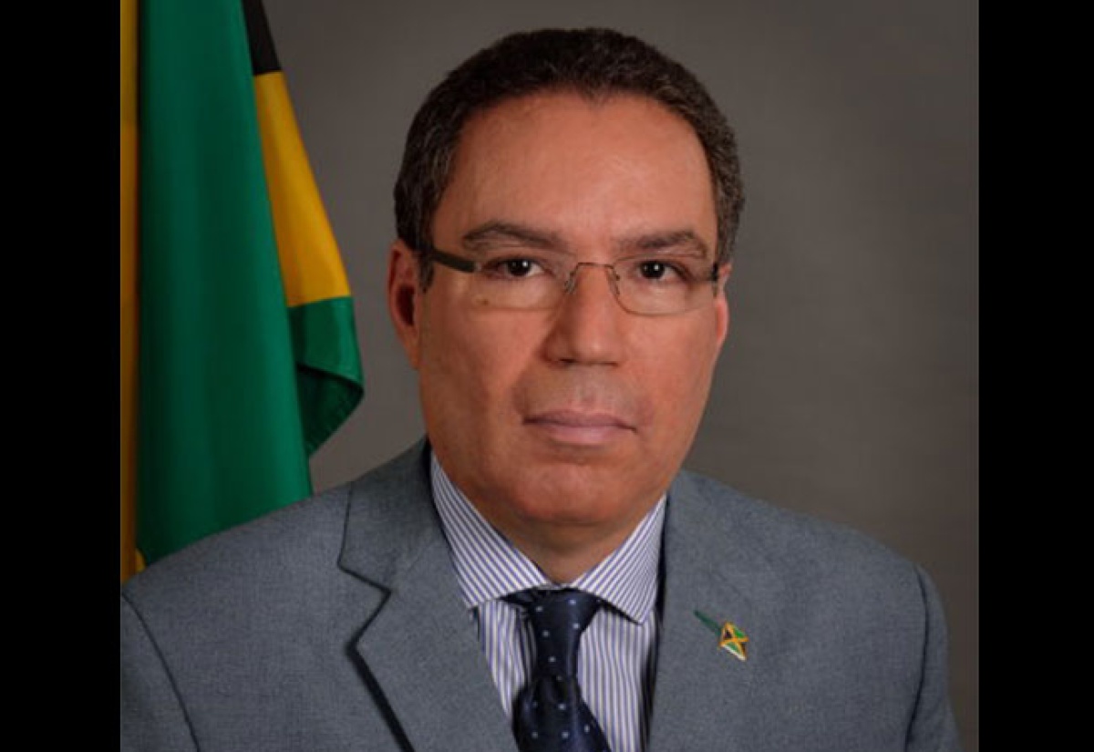Minister of Science, Energy, Telecommunications and Transport, Hon. Daryl Vaz. 