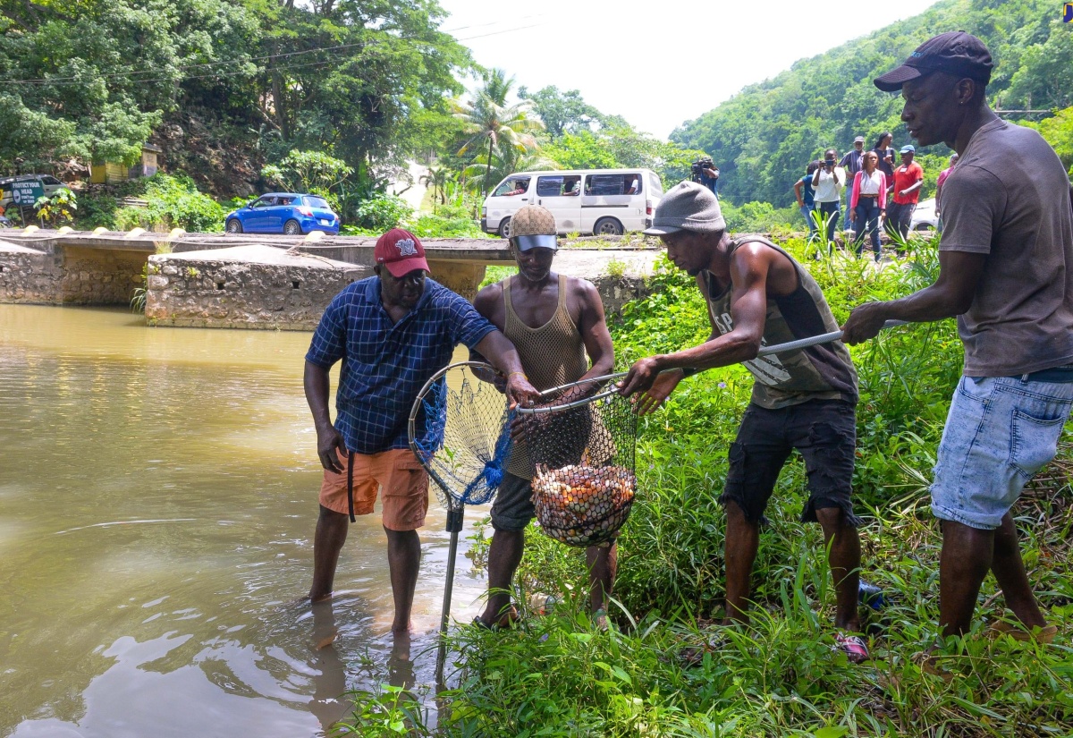 Residents Welcome Replenishing of Rio Cobre River