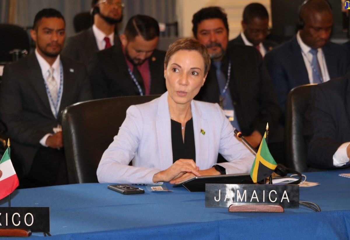 Minister Johnson Smith Appeals to OAS to Support War on Guns, Climate Change and Help for Haiti