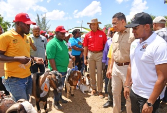 Prime Minister, the Most Hon. Andrew Holness (second right), and Minister of Agriculture, Fisheries and Mining, Hon. Floyd Green (right), look at prize goats during the 69th Denbigh Agricultural, Industrial and Food Show, held on Monday (August 7) at the Denbigh Showground in Clarendon.