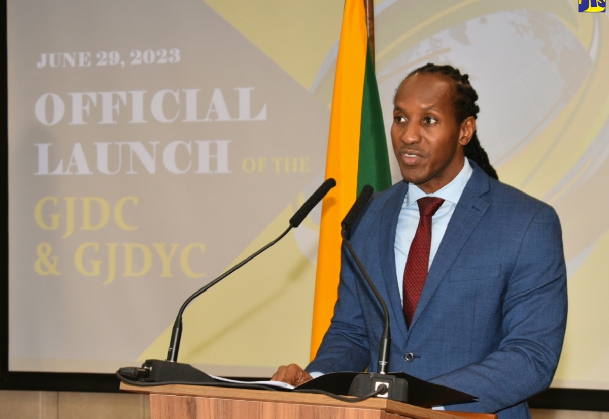 Global Diaspora Councils Formally Launched