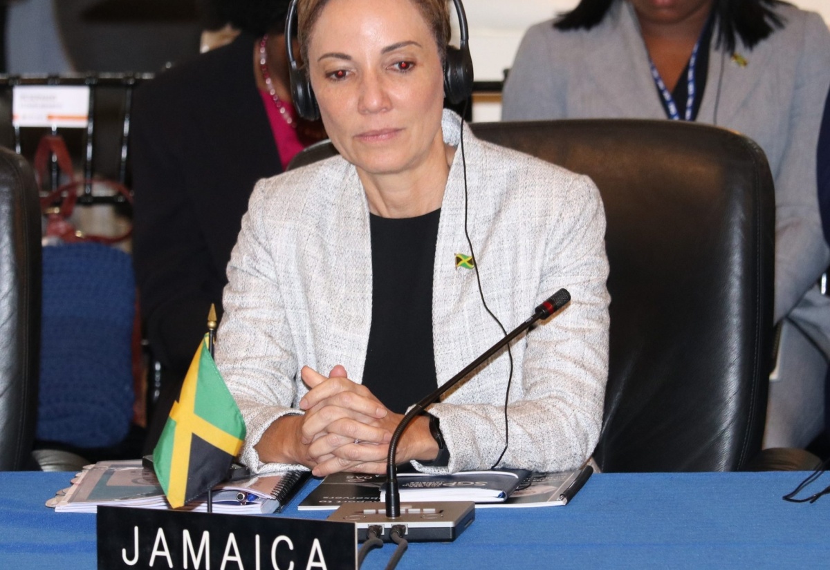 PHOTOS: Minister Kamina Johnson Smith Attends 53rd Organization of Amemrican States General Assembly