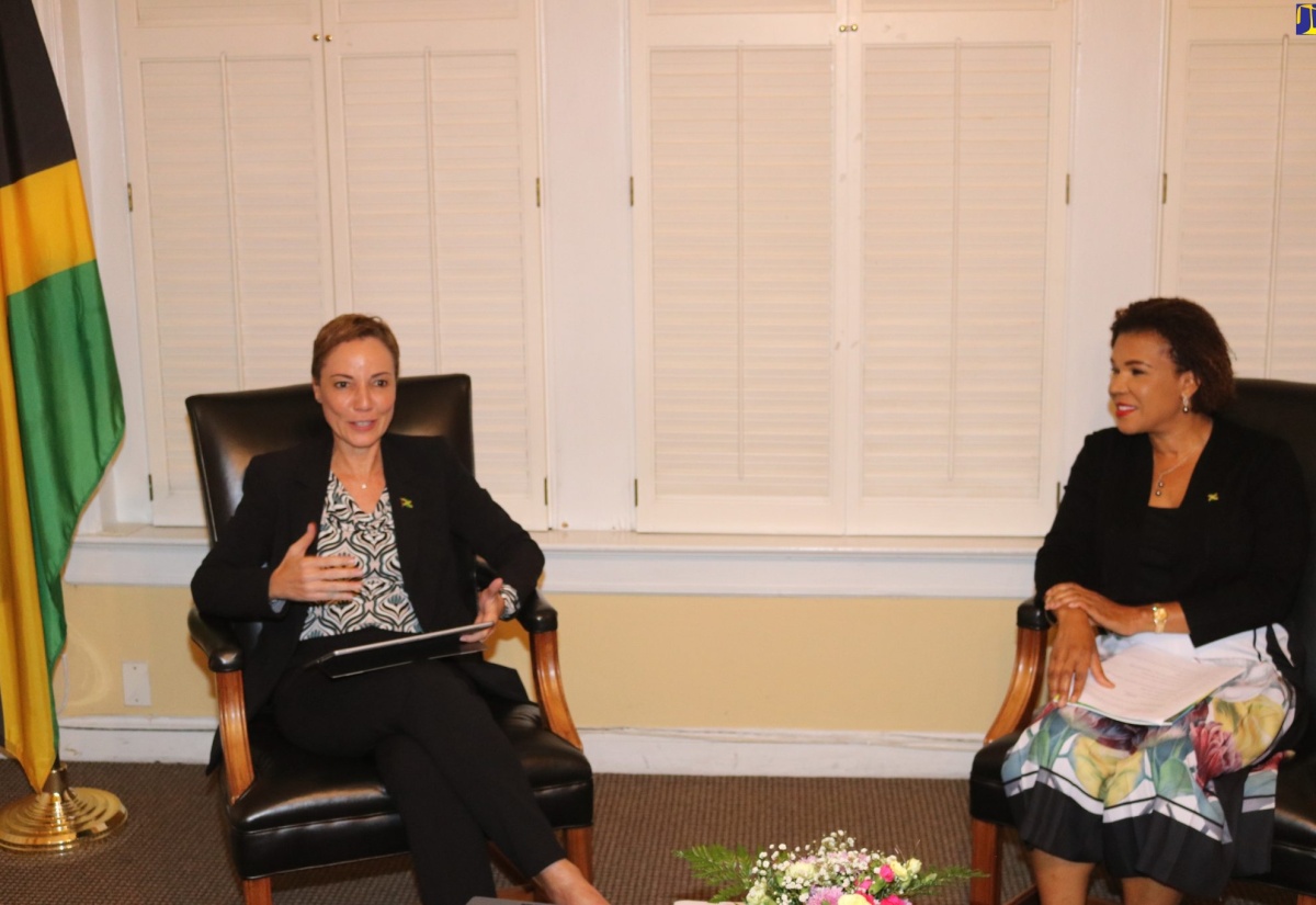 PHOTOS: Minister Johnson Smith Meets with Disapora In Washington DC