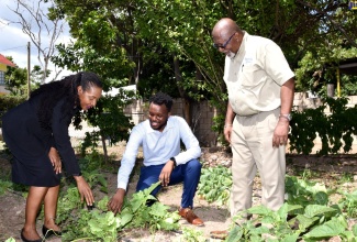 Minister of State in the Ministry of Education and Youth, Hon. Marsha Smith (left) and President of Junior Chamber International, Marklon Bedward (centre), examine a lettuce plant on a newly established vegetable farm at Best Care Special Education School in Kingston. With them is school Chairman, Orville Johnson. The vegetable farm and a shade house were officially opened on Wednesday (June 21).