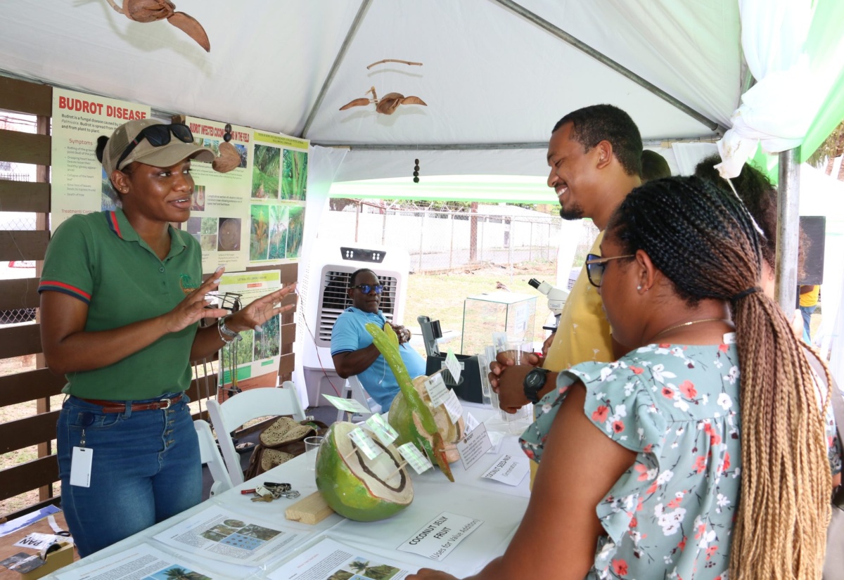 Coconut Farmers Encouraged to Capitalise on Industry Incentives