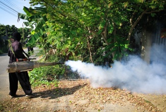 Fogging is among activities being undertaken in Kingston and St. Andrew to contain the spread of dengue.

