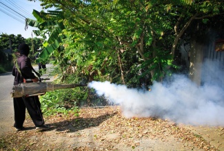 Fogging to eliminate mosquitoes. 