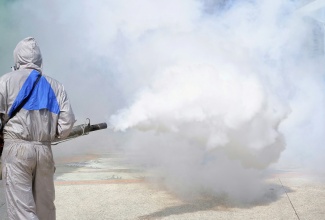Pest control operator fogging to eliminate mosquitos. 