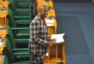 Member of Parliament for Westmoreland Central, George Wright, making his contribution to the 2023/24 State of the Constituency Debate in the House of Representatives on Wednesday (November 29).

