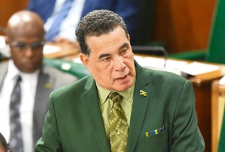 Member of Parliament for St. James Southern, Hon. Homer Davis, making his contribution to the State of the Constituency debate in the House of Representatives on November 8.

