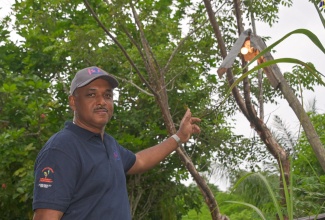Managing Director of the Jamaica Social Investment Fund (JSIF), Omar Sweeney, points to a makeshift streetlight in a section of Clarendon, recently.

