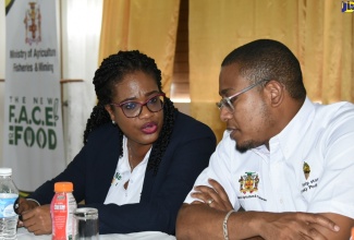 Minister of Agriculture, Fisheries and Mining, Hon. Floyd Green (right), in conversation with Chief Technical Director, Michelle Parkins, during a stakeholder engagement session for the Ministry’s ‘New FACE of Food’ strategy, which was held at the Casa Lagoona Hotel in St. Thomas, on November 15.