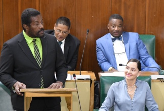 Member of Parliament for Westmoreland Eastern, Daniel Lawrence, makes his contribution to the 2023/24 State of the Constituency Debate in the House of Representatives on Wednesday (November 15).