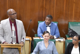Member of Parliament for St. Elizabeth North Eastern, Delroy Slowley, makes his contribution to the 2023/24 State of the Constituency Debate in the House of Representatives on Wednesday (November 15).

 