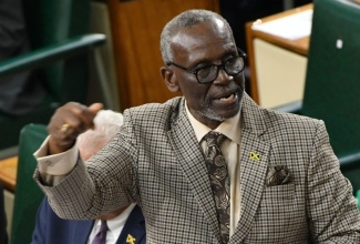 Minister of Local Government and Community Development, Hon. Desmond McKenzie.