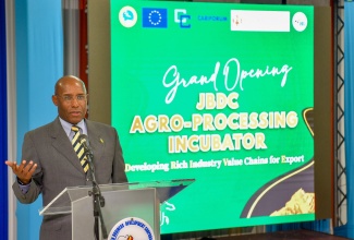 Minister of Industry, Investment and Commerce, Senator the Hon. Aubyn Hill, addresses Monday’s (November 13) grand opening of the Jamaica Business Development Corporation (JBDC) Agro-processing Incubator. The event was held at the JBDC’s Incubator Resource Centre in Kingston.

