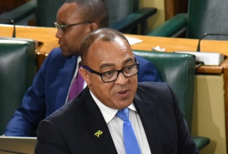 Minister of Health and Wellness, Dr. the Hon. Christopher Tufton, speaks in the House of Representatives on November 14.

 