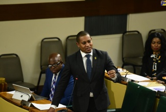 Minister of Agriculture, Fisheries and Mining, Hon. Floyd Green, gives a statement in the House of Representatives on Tuesday (December 5).


